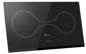 Đánh giá bếp từ đôi elmich có tốt không?